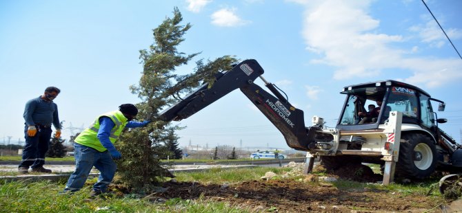 Aliağa Belediyesi Ağaçlandırma Çalışmalarına Ara Vermiyor