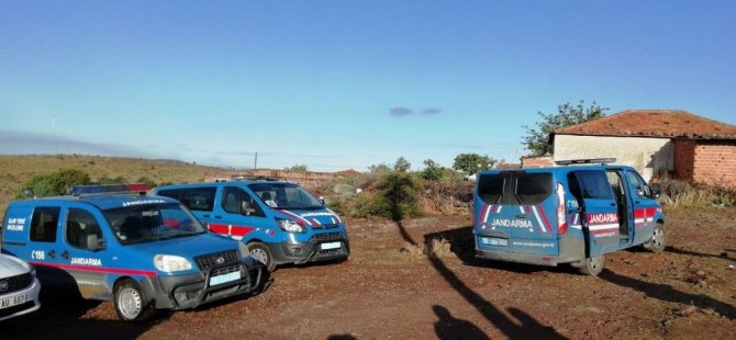 Aliağa'da Hayvan Hırsızları Tutuklandı