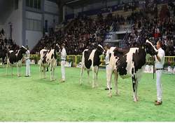 En Güzelleri Podyuma Çıkıcak