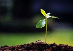 Aralık Ayı Tarım Takvimi