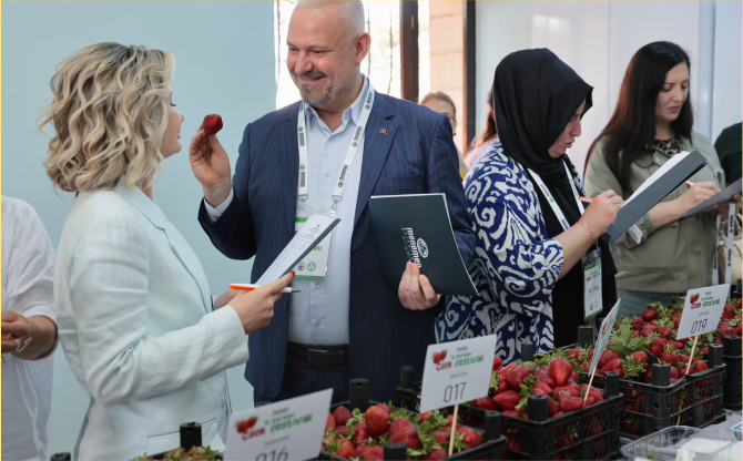Emiralem Çilek Festivali'ne rekor ziyaretçi!
