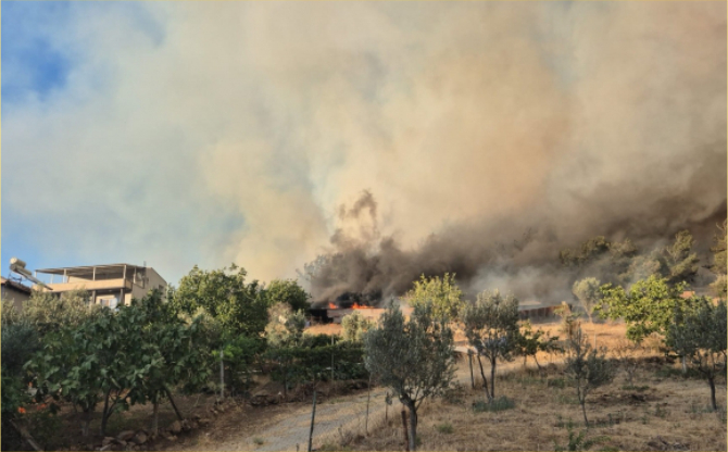 Aliağa Bozköy Mahallesi orman yangını kontrol altında