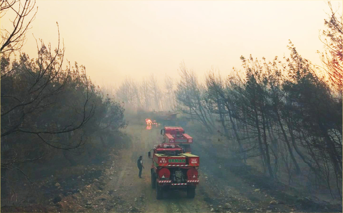 Aliağa ve Foça’daki Yangınla Mücadelede Ekiplerin Zorlu Anları
