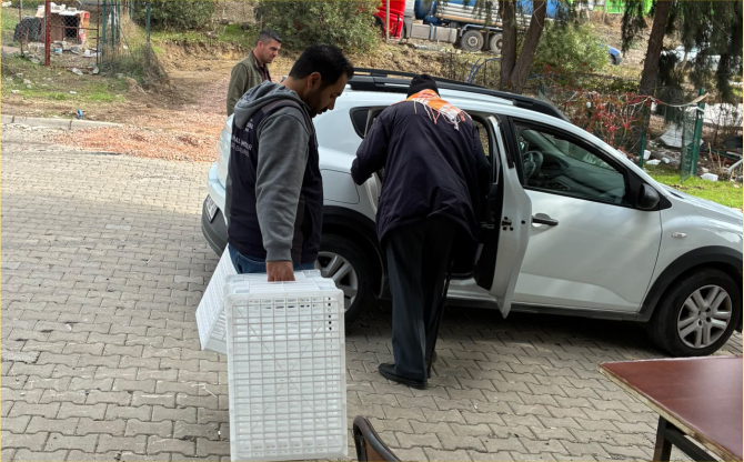 İzmir Büyükşehir Belediyesi’nden Aliağa’daki Üreticilere Zeytin Kasası Desteği
