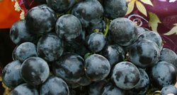 Eylül Tarım Takvimi