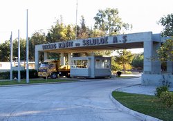 Viking Kağıt İşçi Çıkardı