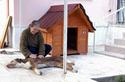 Mavişi Öldürdüler