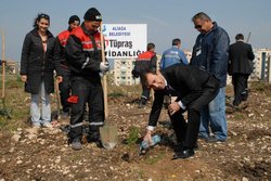 Tüpraştan Ağaç Dikimi