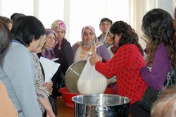 Aliağa Peynir Üretecek