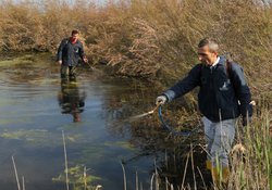 Aliağa'da Sivrisinek Mücadelesi