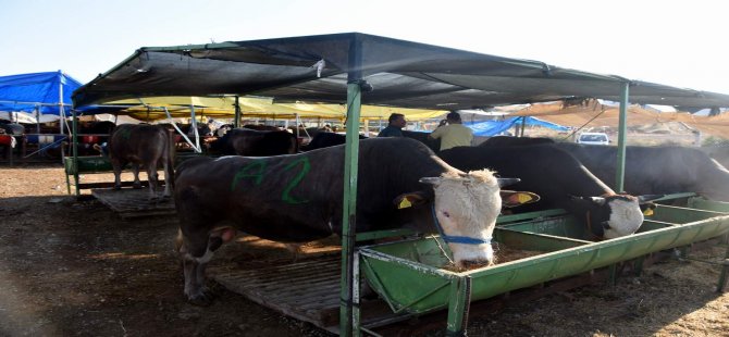 Aliağa’da Kurban Kesim Yerleri ve Fiyatları Belirlendi