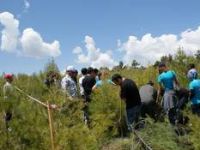 Ekoturizm’de Yüksek Lisans Fırsatı 