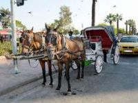 Faytonlara Kalıci Çözüm