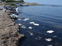 Foça’da Meydana Gelen Ağır Yakıt Sızıntısı Denizi Kirletti