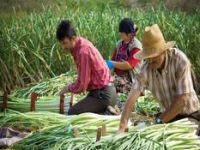 Denizli tarım fuarı’na geri sayım başladı…