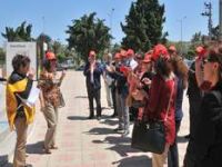 Büro Emekçileri Greve Gitti 