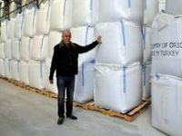 Bergama Madencilik, İhracati Yükseltiyor