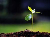 Aralık Ayı Tarım Takvimi