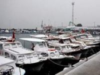 Dikili'de Karla Gelen Mutluluk