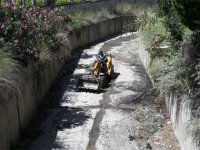 Bozköy Deresi Hayat Buluyor