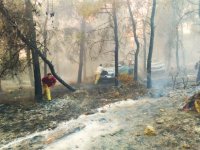 Aliağa ve Foça’daki Yangınla Mücadelede Ekiplerin Zorlu Anları
