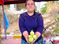 Menemen'de festival rüzgarı Bozalan'dan esecek