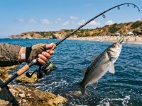 At- Çek Balık Avı Festivaline Başvurular Başlıyor