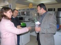 Yılbaşı Armağanı Çam Fidanı 