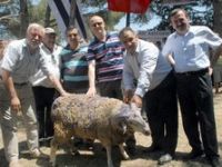 Katmer Ağası İsa Önal