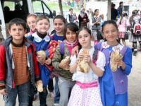 Balık Ekmek Coşkusu 